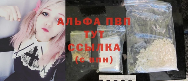прущие грибы Каменка