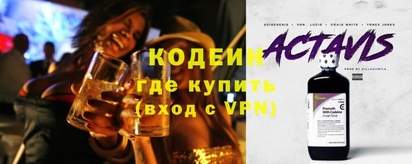 прущие грибы Каменка