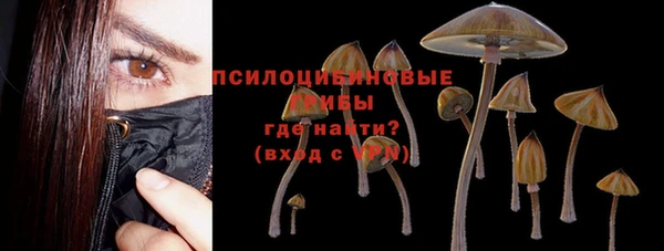 прущие грибы Каменка