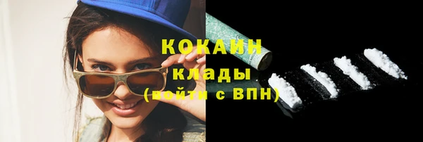 прущие грибы Каменка