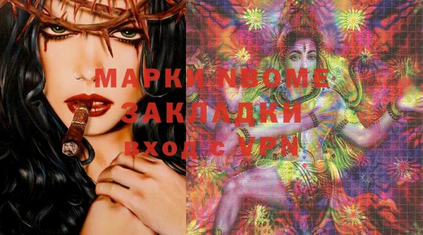 прущие грибы Каменка
