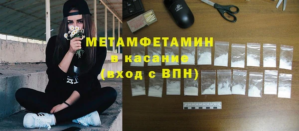 прущие грибы Каменка