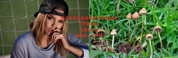 марихуана Каменногорск