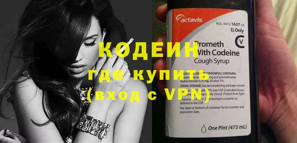 прущие грибы Каменка
