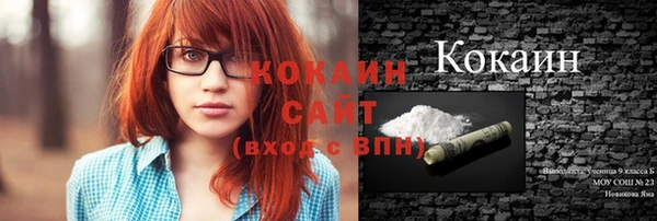 прущие грибы Каменка