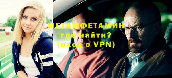 прущие грибы Каменка